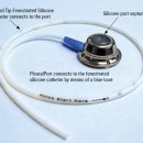 에이드동물병원 이미지