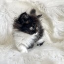 균영농장 이미지