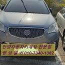 대화카쎈타 이미지