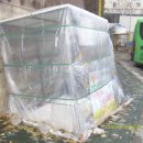 서부여객 이미지