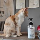 별이랑 놀자 이미지