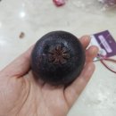 진남제일시장 이미지