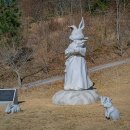 월등도캠핑장 이미지