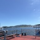 돝섬해상유원지 | [경남 마산] 기대없이 갔다가 완전 반해버린 마산여행 필수코스 ‘돝섬해상유원지’