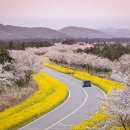 미래세탁소 이미지