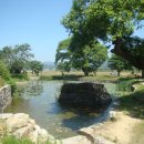 금당실전통마을 이미지