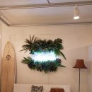 그루밍 플래너 이미지