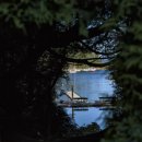 해님약국 이미지