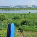 교하체육공원 야구장 | 공릉천 (교하강) 첫 소풍~★
