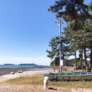 애봉이네 이미지