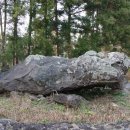 색달동지석묘 1호 이미지