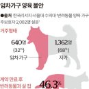 반려인 이미지