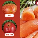 748 이미지