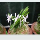 넘버파이브 이미지