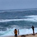 바다정원 이미지