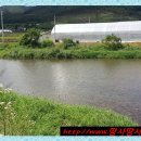 강원도 횡성군 교항북로 이미지