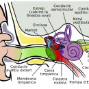 정담민박 | 효리네 민박 정담이 후기. 두통과 함께 동반되는 청각장애는 위험할까?