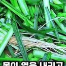명약손