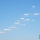 에스엠바이오 이미지