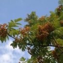 어르신돌봄센터 이미지