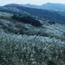 금강골재 이미지