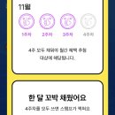 미트커피