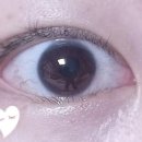 베스트안경 위드렌즈 이미지