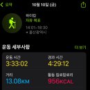 평원농장 | n번째 다녀온 신불산 간월재 억새평원 사슴농장 코스 후기(주차, 실시간 억새)