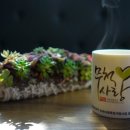 무척사랑 영농조합법인 이미지