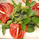 당쟁이로 이미지