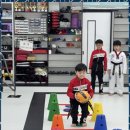 엠티에이태권도 이미지