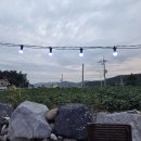 진도집 | 진도 쏠비치 근처 맛집 바닷가그집, 4인 한상 후기