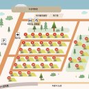 34 | [대구/달성군] 대구 근교 구지캠핑장 ‘강변오토캠핑장’ 명당 34번 사이트 후기