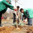 남동81 네이버블로그