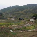 마재수선