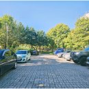 용하공원 2주차장 이미지