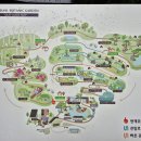 숲을향한시선 이미지