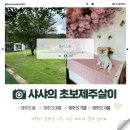 강아지가 행복한 제주 애월 애견카페 블리스풀
