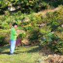 국선도 | 과거와 현재가 교차하는 전포 월하마을에서 진행한 부산 야외 명상체험 &#39;힐링 국선도&#39; 2탄