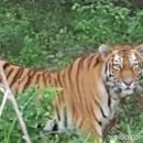 당지농장 이미지