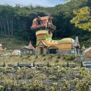 이안테크 이미지