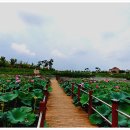 지사울공원 이미지