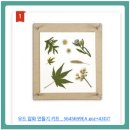 가을꽃과 함께하는 이니셜 레진키링 | 나혼산 옥자연 압화 만들기 키트 후기! 가격, 사용법, 꿀팁 총정리