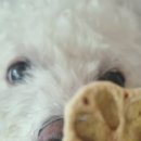 구멍가개 이미지