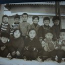 선화유치원 이미지