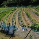 용인최고공인중개사사무소 이미지