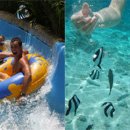 캐리비안민박 이미지