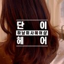 단이 헤어 이미지