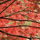 비밀정원 - 은평구 대서문길 36 | 비밀정원