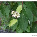 성남시립식물원 이미지